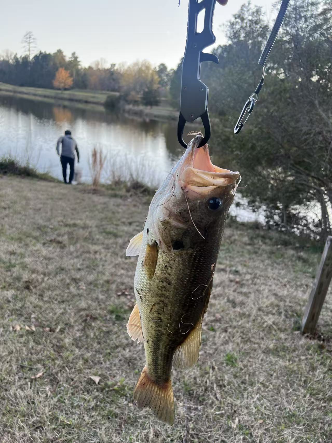 Bass held beside a small lake