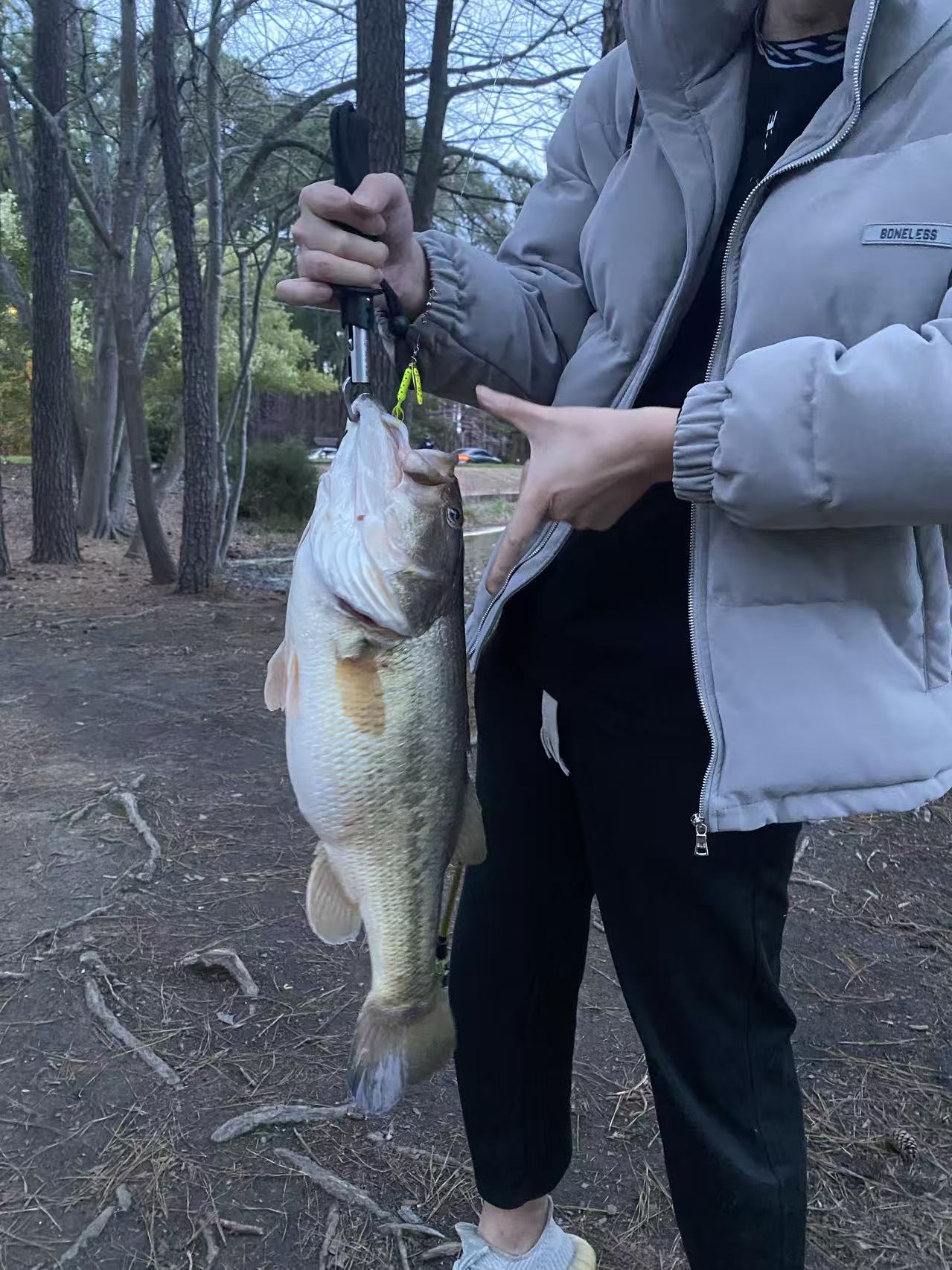 Large bass held beside a wooded lake