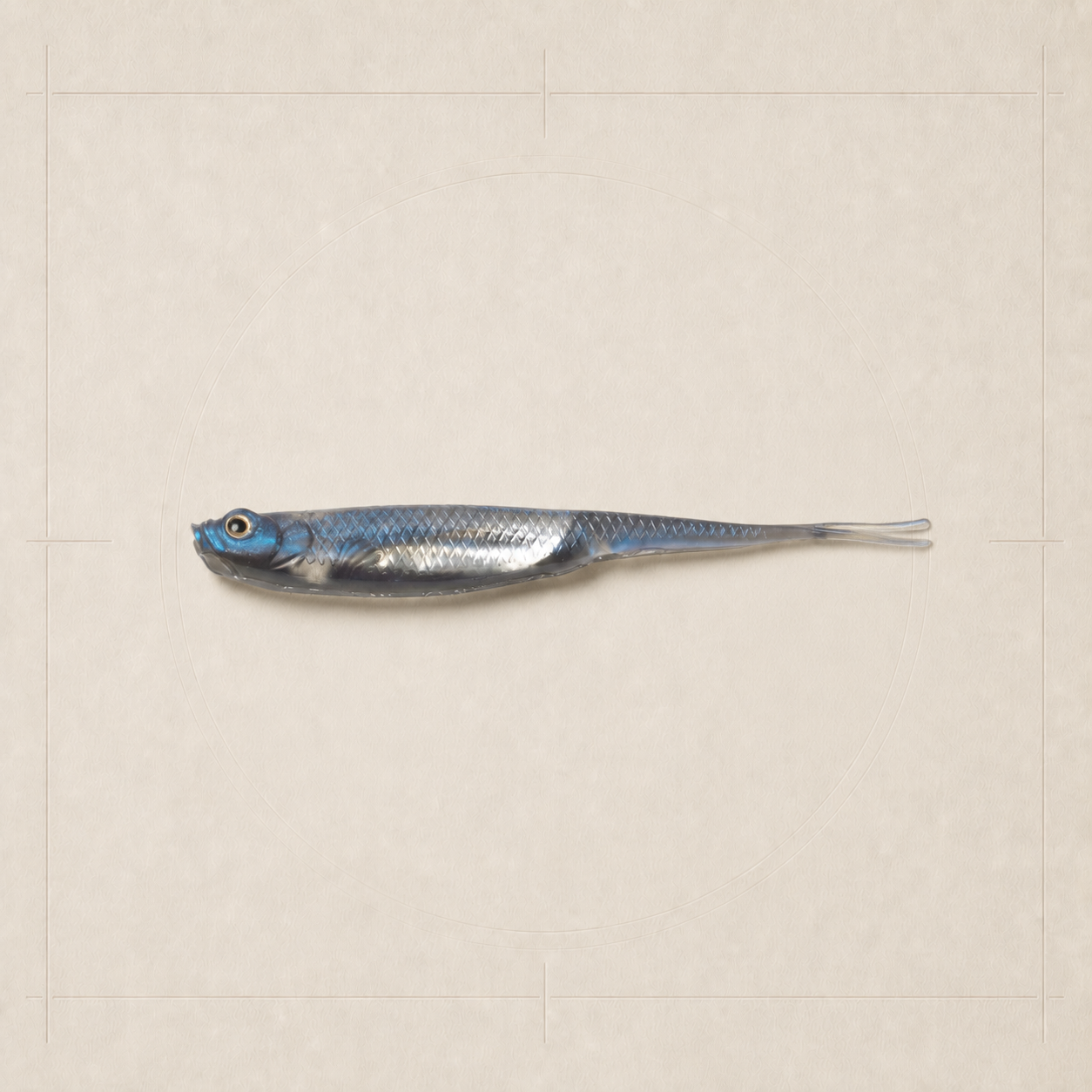 YOSHIKAWA Swimbait