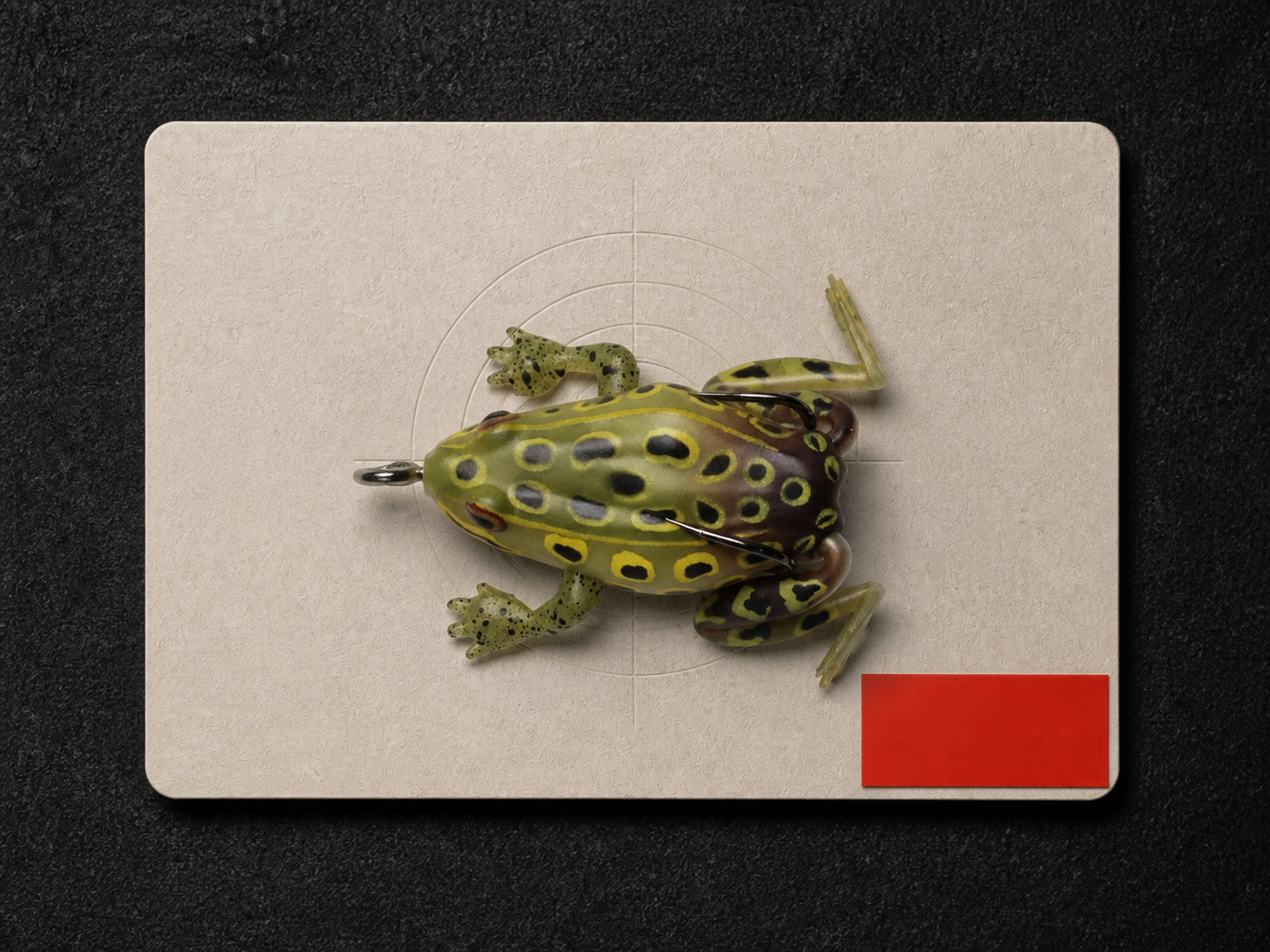 FAISOX Kicking Frog archival field specimen